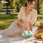 SayRose Portable Wireless Handbag Speaker YX-50