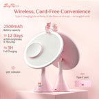 SayRose Rosy Glow Vanity Mirror ZB-77