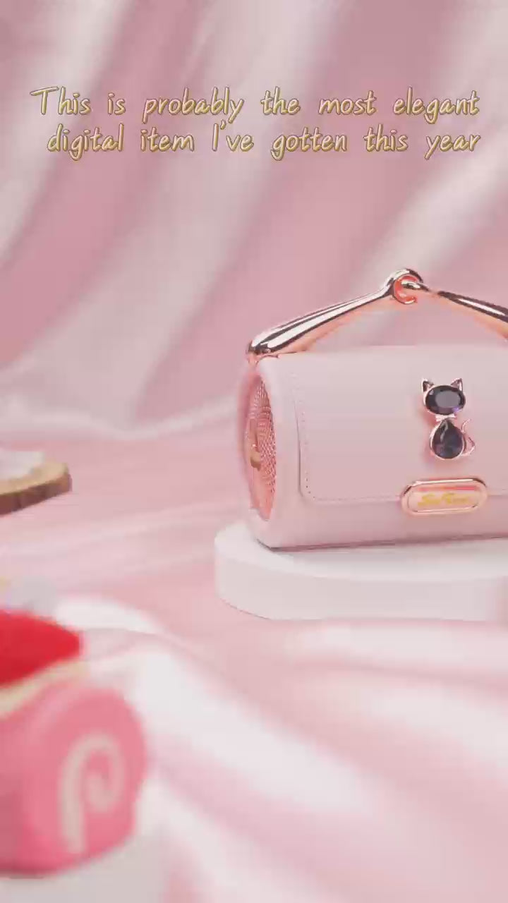 SayRose Portable Wireless Handbag Speaker YX-50